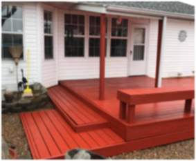 Termite Problem Solution in Branson, MO